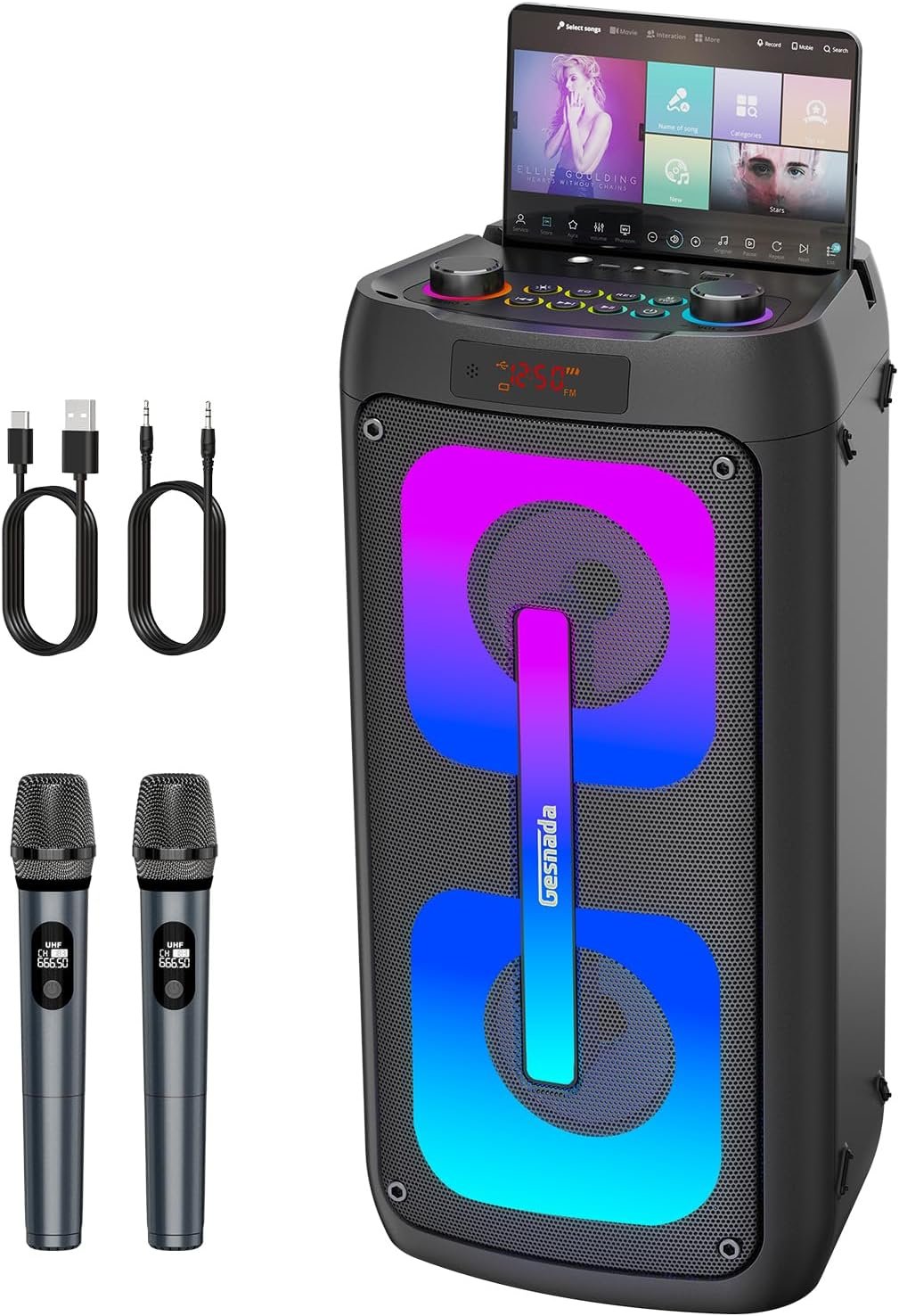 Karaoke Machine for Adults, Portable Bluetooth Speaker with 2 Wireless