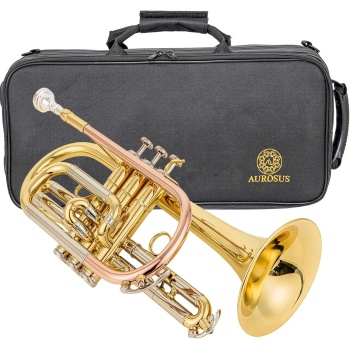 aurousus bb cornet acr 8330 for beginners intermediate players stainless steel